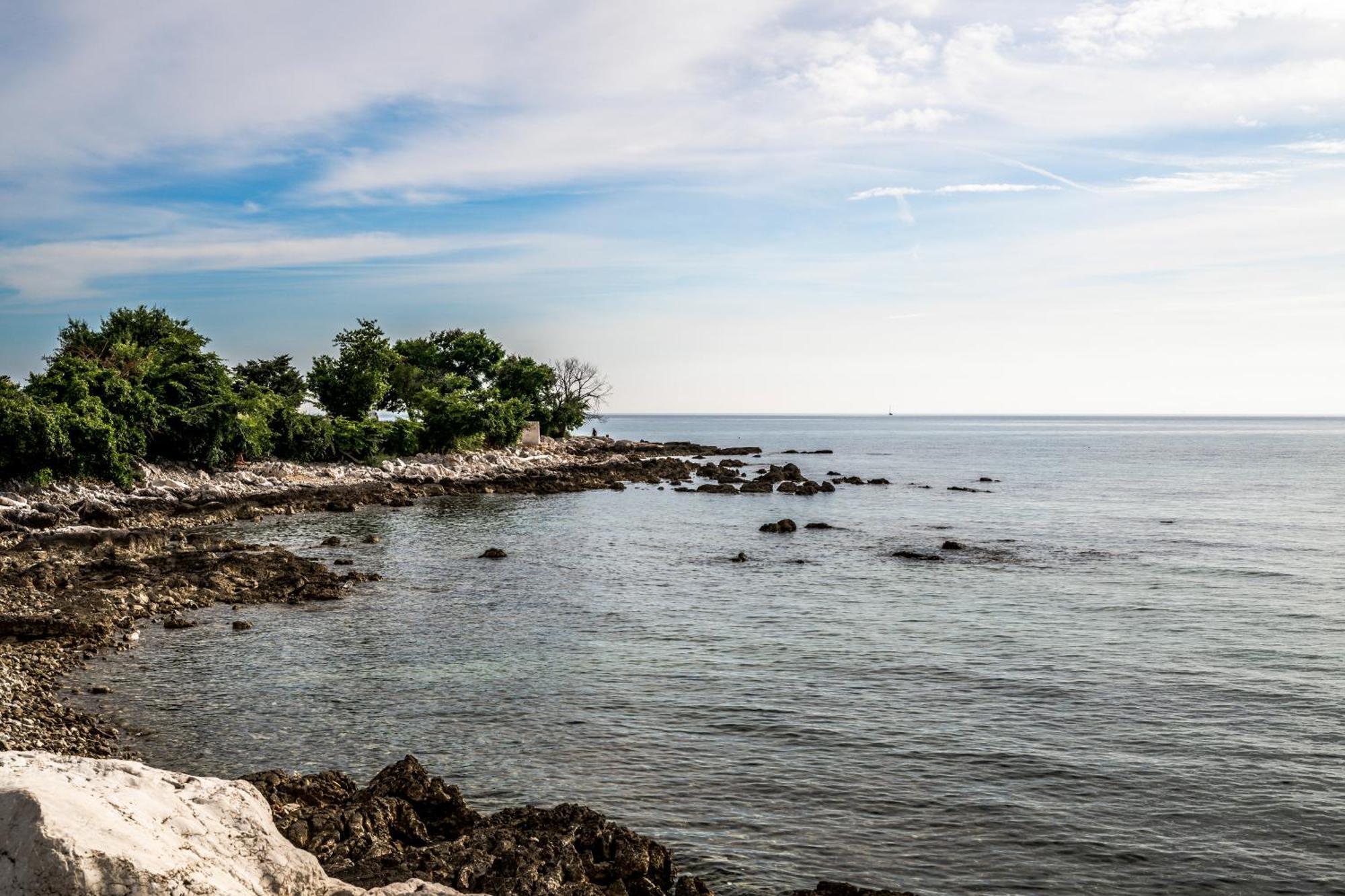 Lu Umag