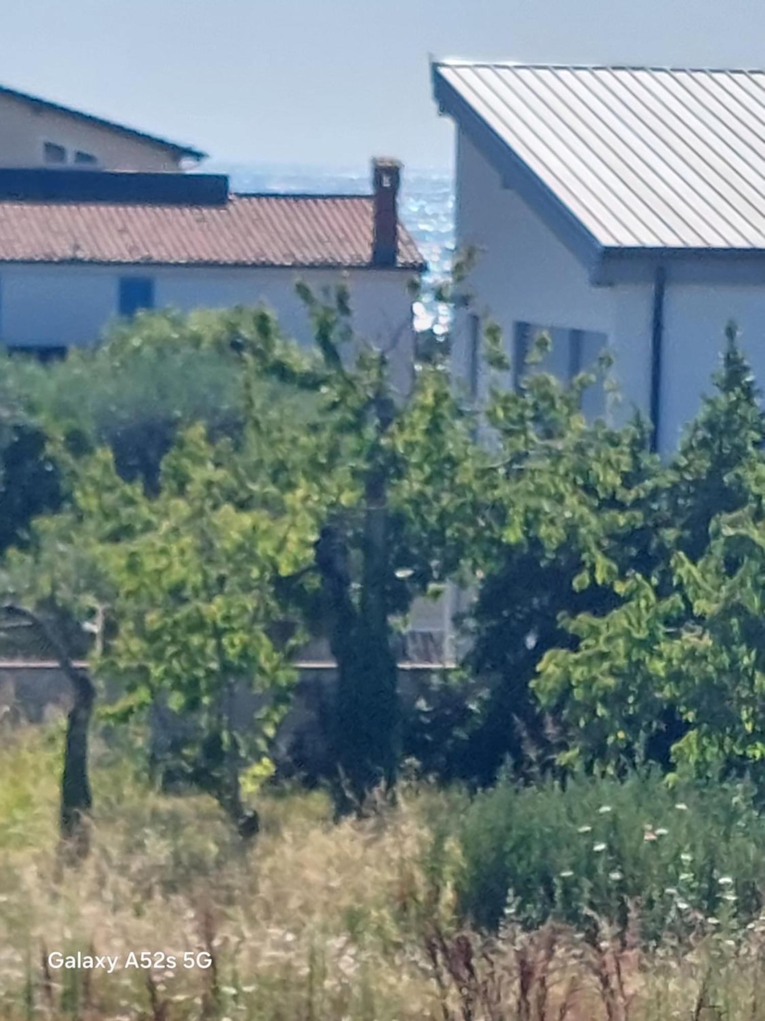 Apartma Lu *